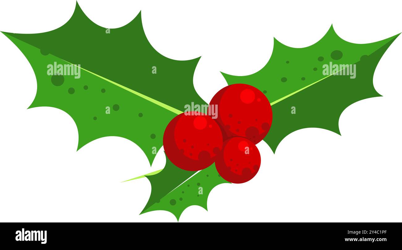 Holly berry - vector illustration Stock Vector Image & Art - Alamy
