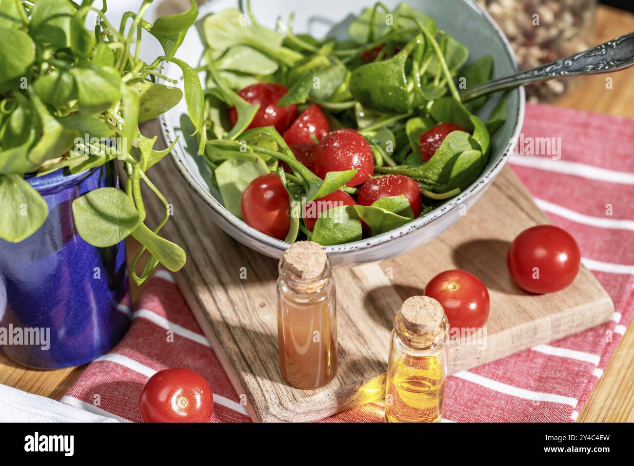 Winter postelein with cherry tomatoes and orange balsamic vinegar Stock Photo