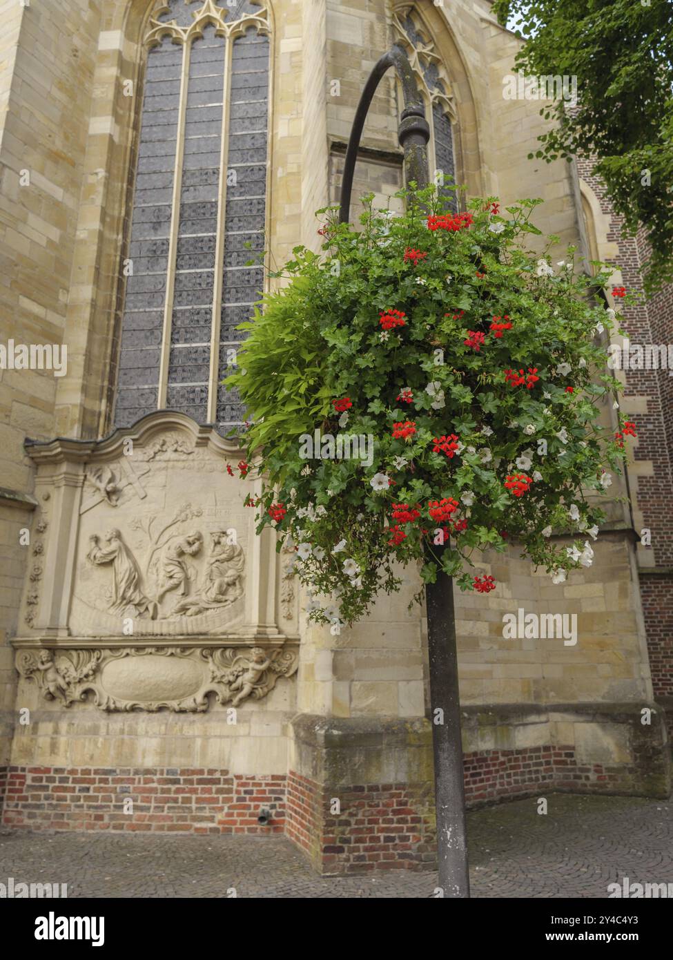 Flowers hanging in front of gothic church window with impressive stone reliefs, Coesfeld, muensterland, germany Stock Photo