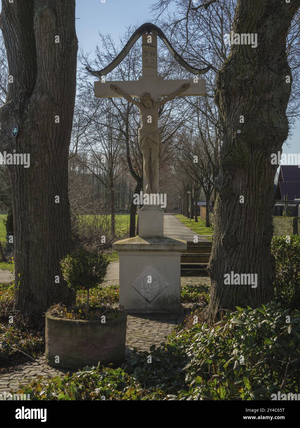 Man standing between two trees hi-res stock photography and images - Alamy