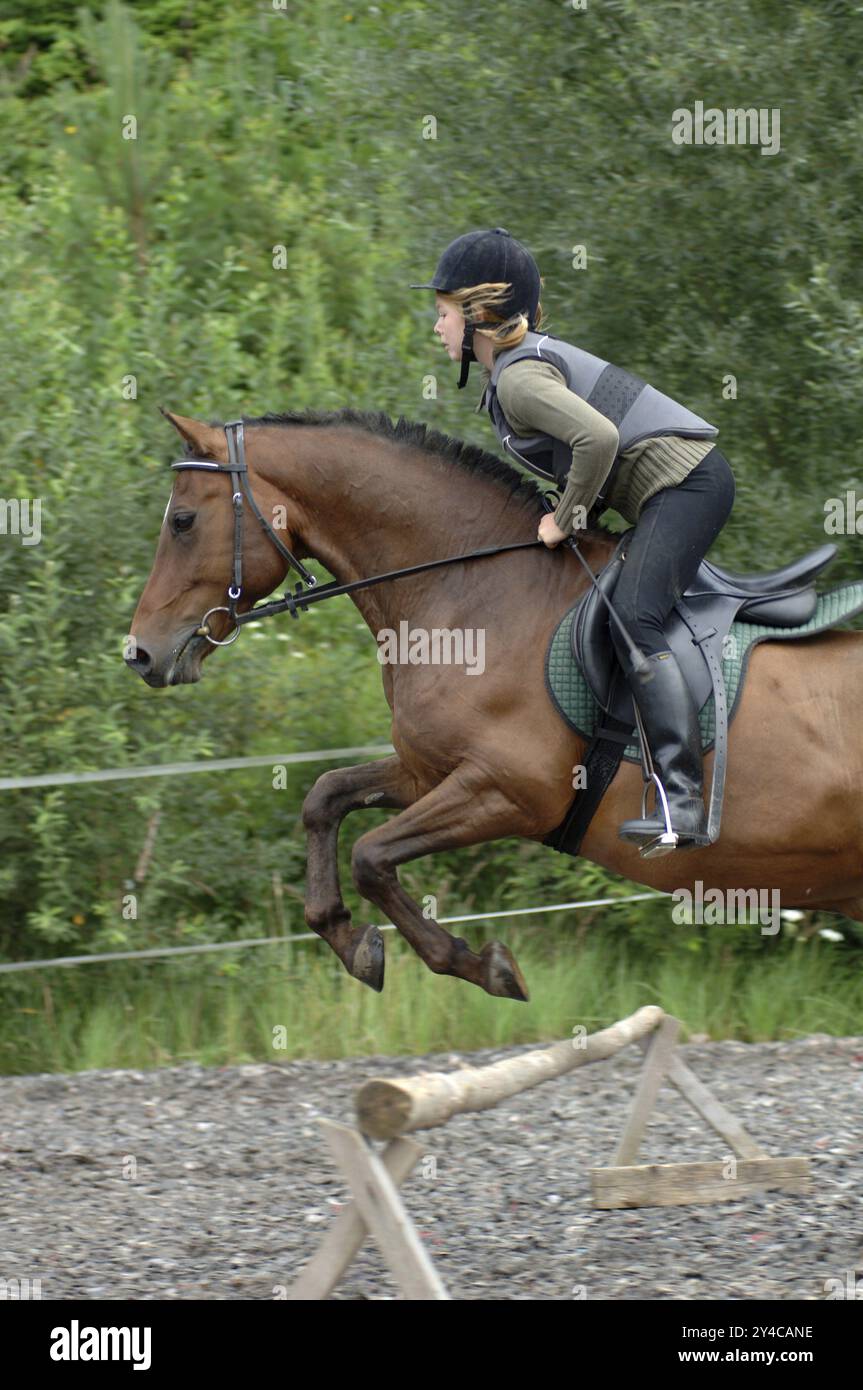 Young rider jumping Stock Photo - Alamy