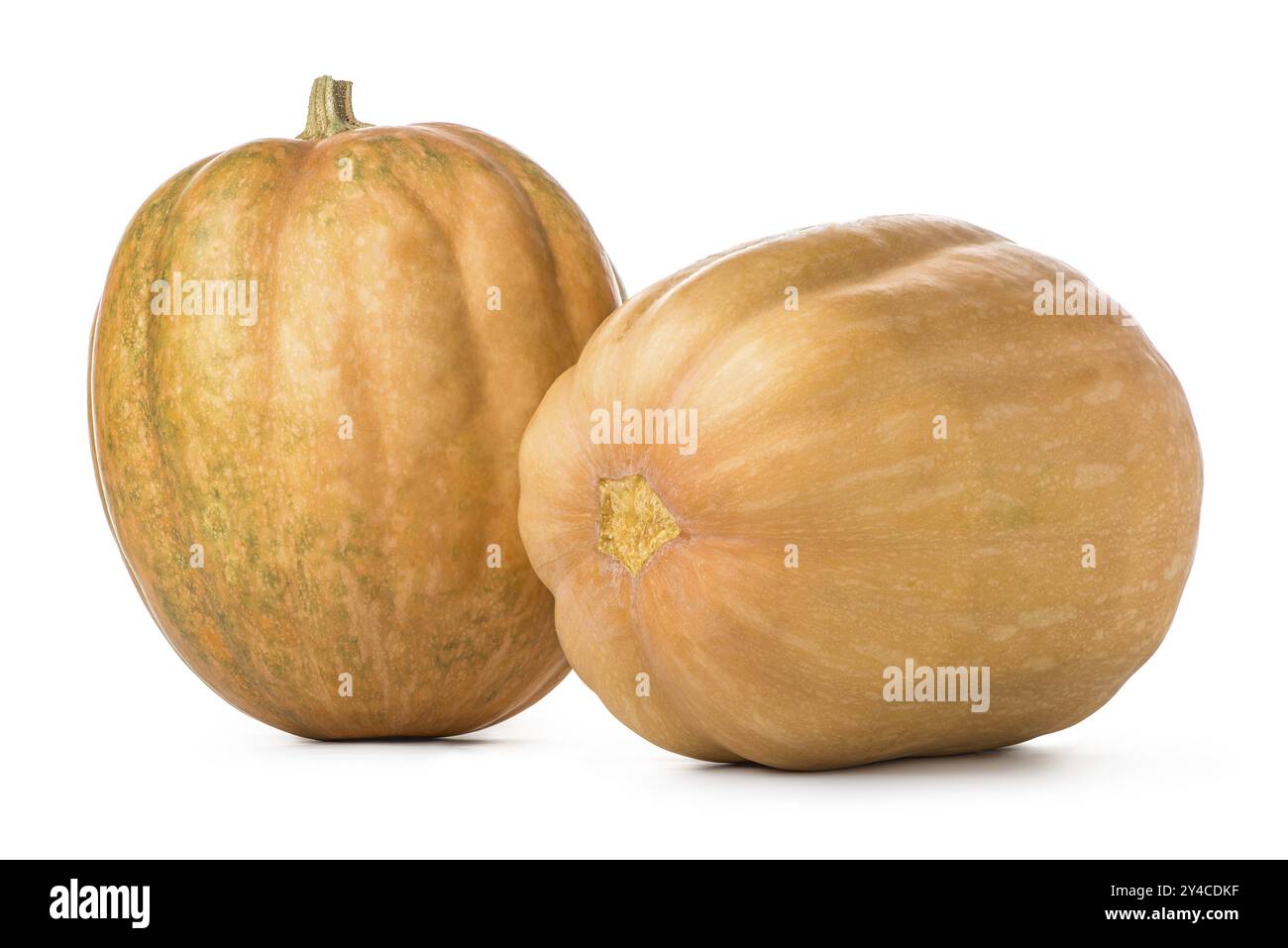Two orange pumpkins isolated on a white background Stock Photo