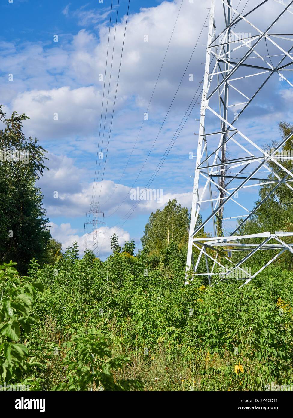 High-voltage power lines on the background of forest and blue sky Stock ...