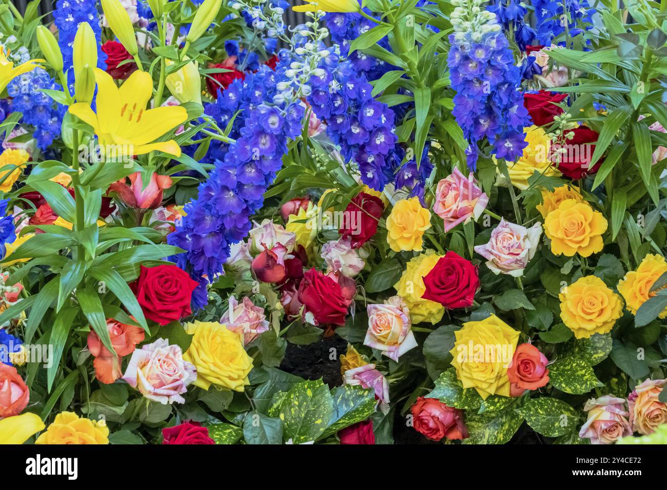 Colourful Delphinium and Rose Bouquet Colourful Delphinium and Rose Bouquet