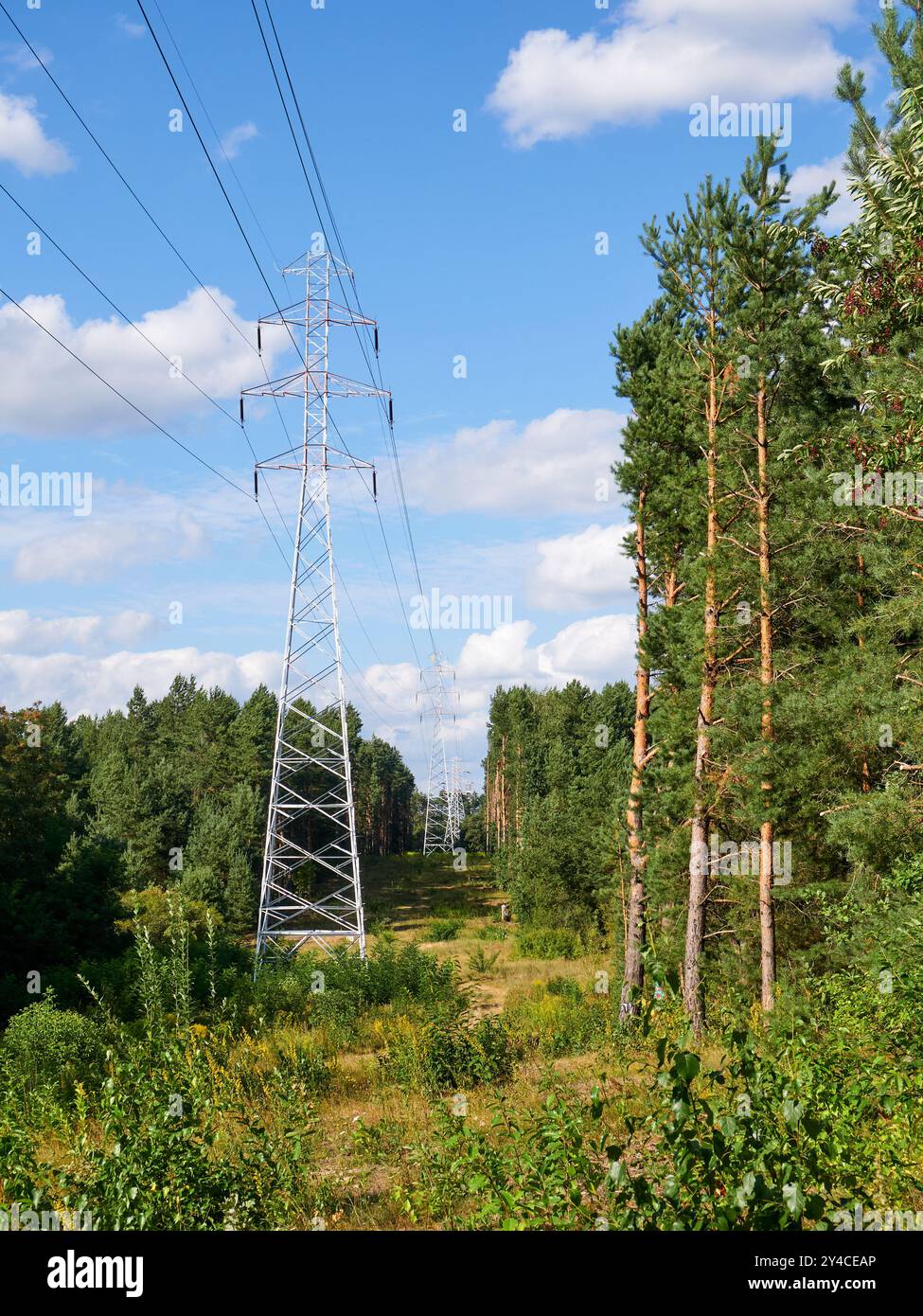 High-voltage power lines on the background of forest and blue sky Stock ...