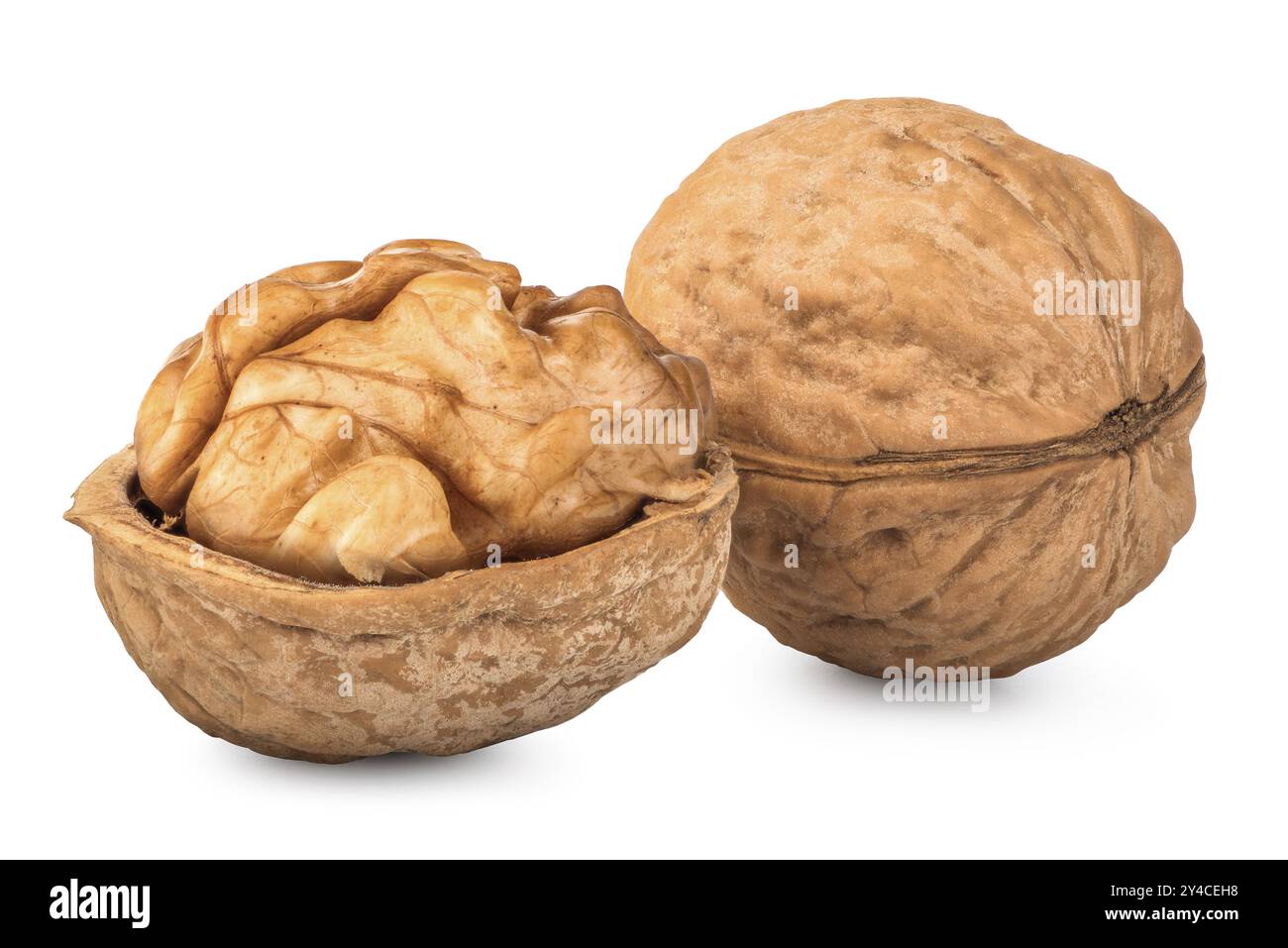 Walnuts close up isolated on a white background Stock Photo