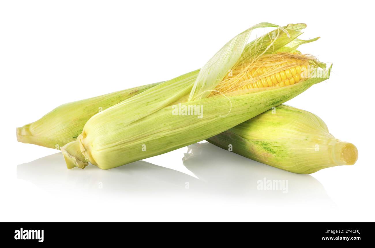 Three corncobs isolated on a white background Stock Photo