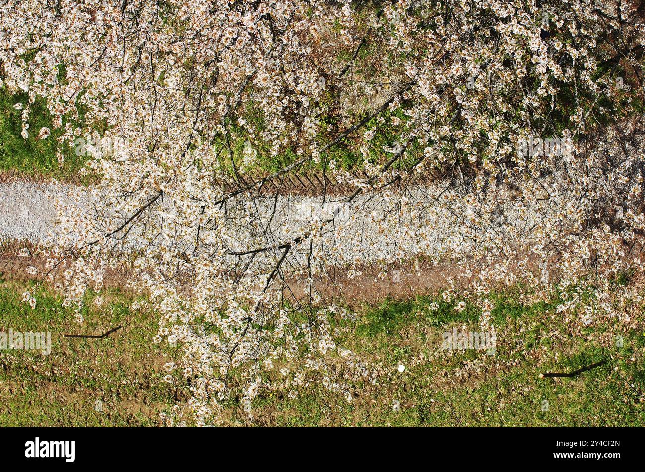Birds eye view birds eye view hi-res stock photography and images - Alamy