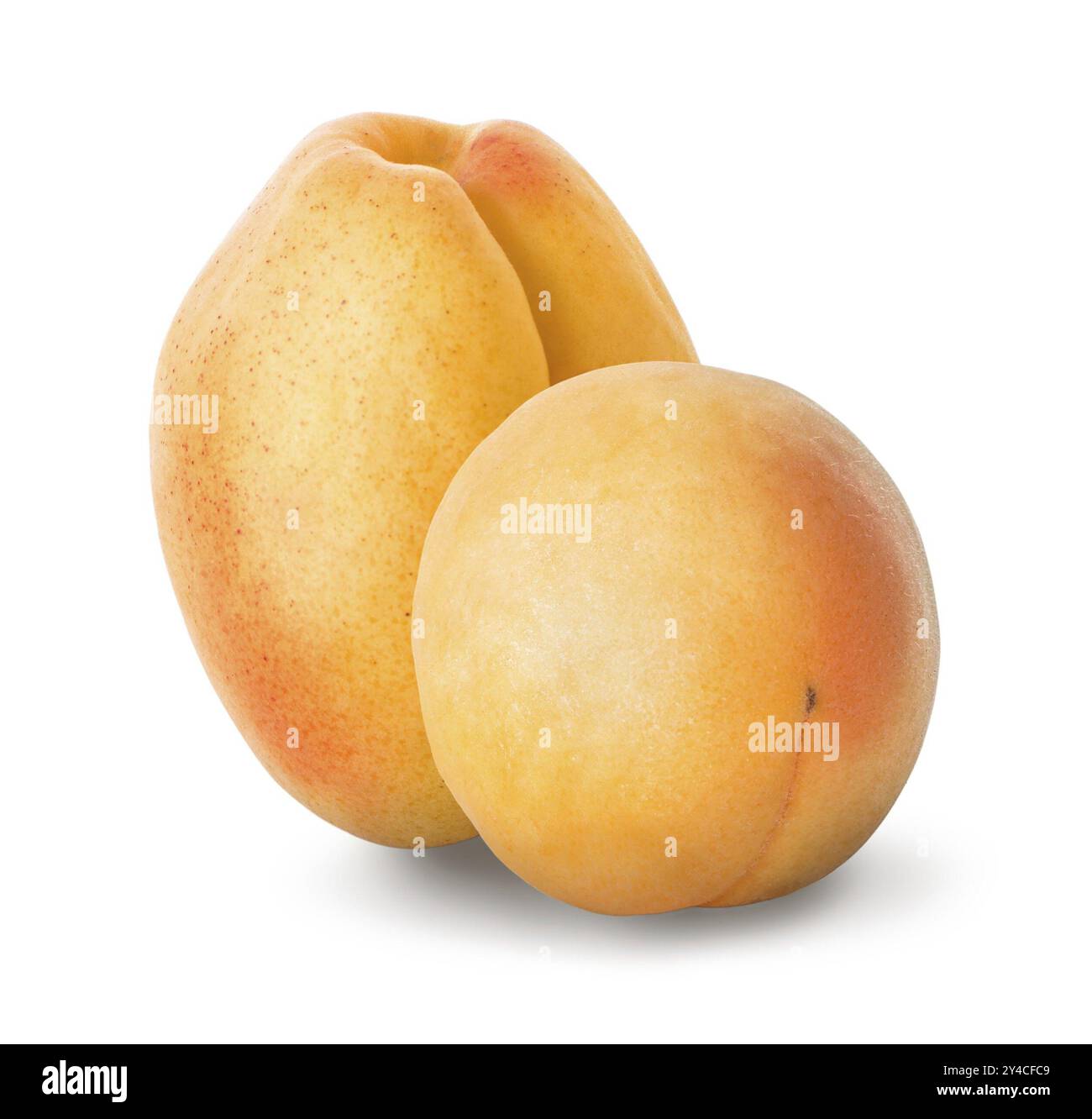 Two ripe apricots isolated on a white background Stock Photo