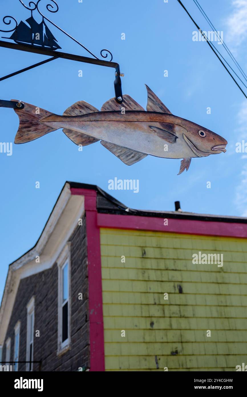 Street art cod, artful street signs, artistic markers picturing seafood ...