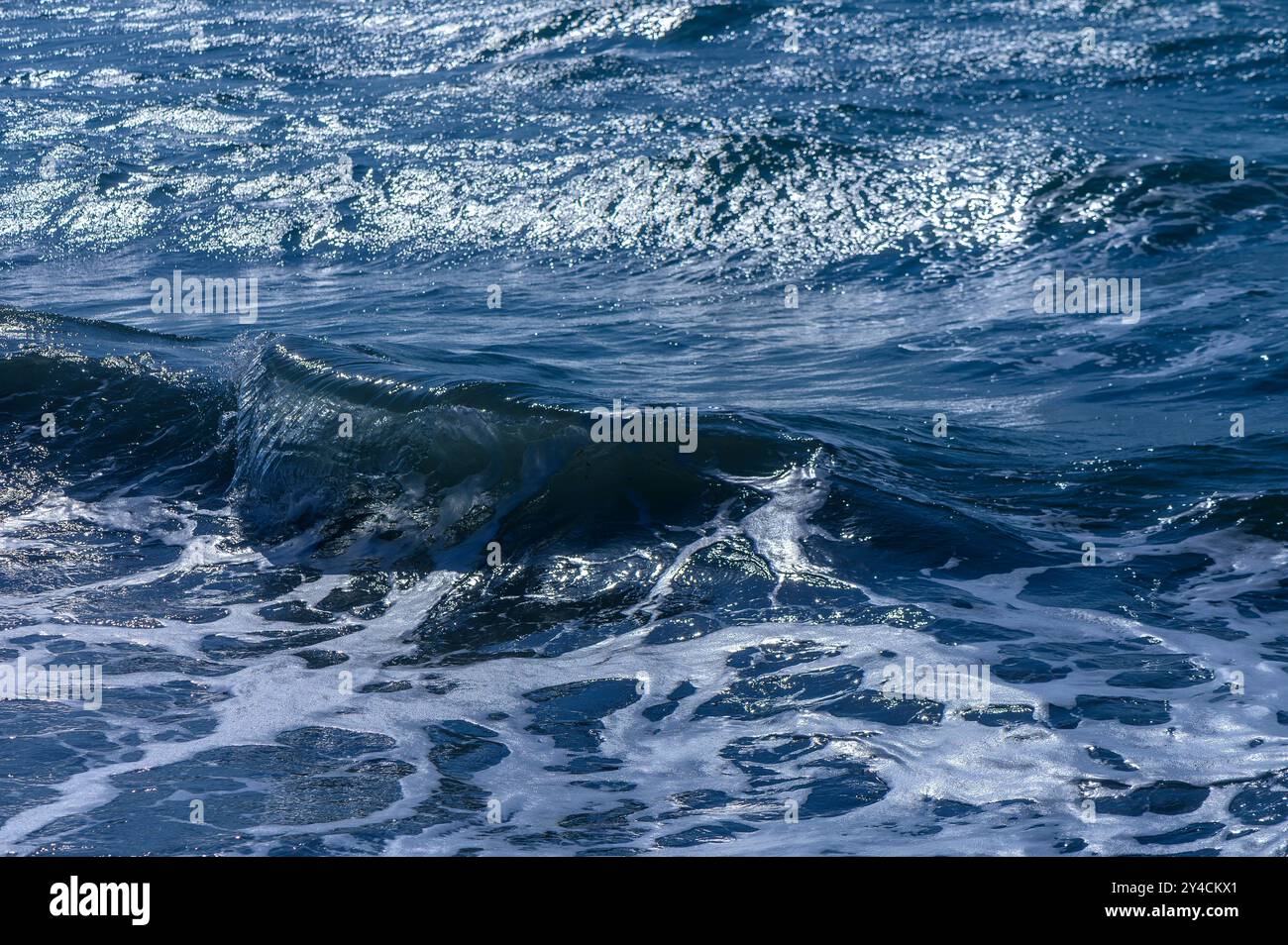 Blue marin clear ocean hi-res stock photography and images - Alamy