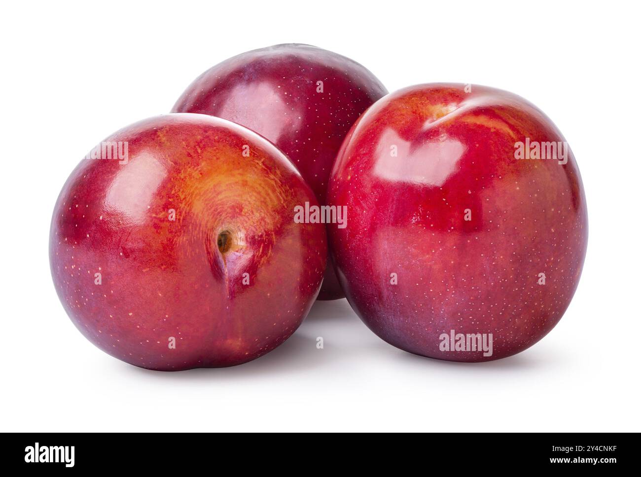 Three fresh sweet plums isolated on a white background Stock Photo