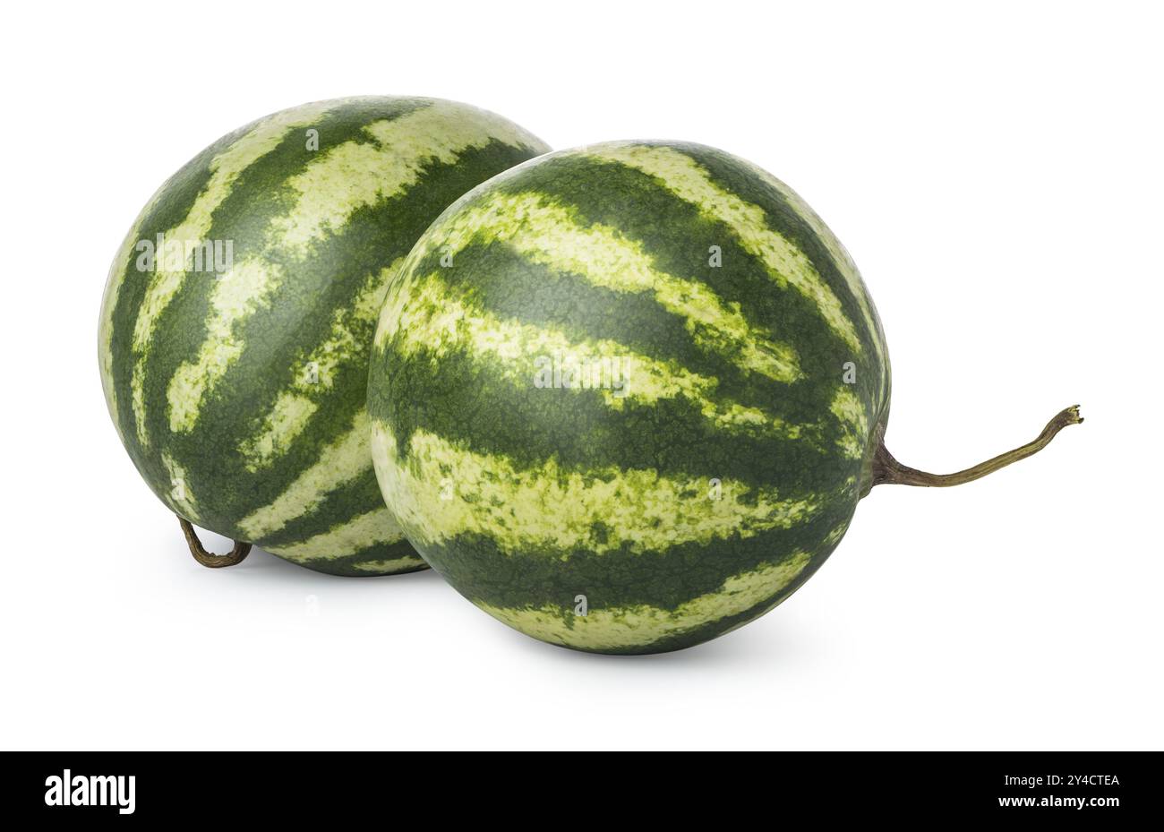Two ripe watermelons isolated on a white background Stock Photo