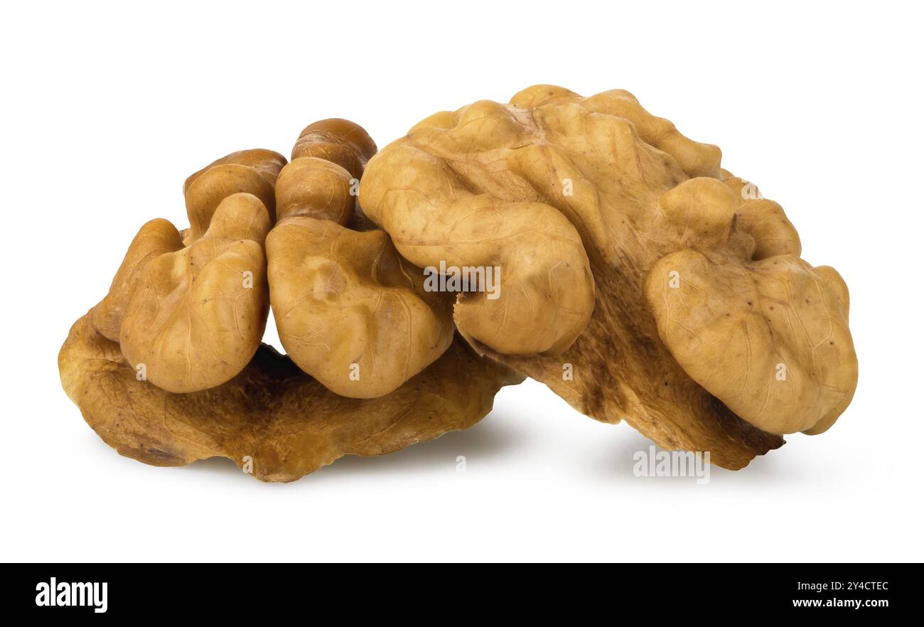 Two peeled walnuts isolated on a white background Stock Photo
