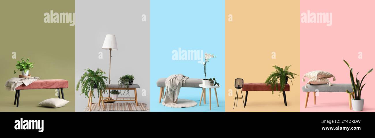 Collage of stylish banquettes on color backgrounds Stock Photo - Alamy