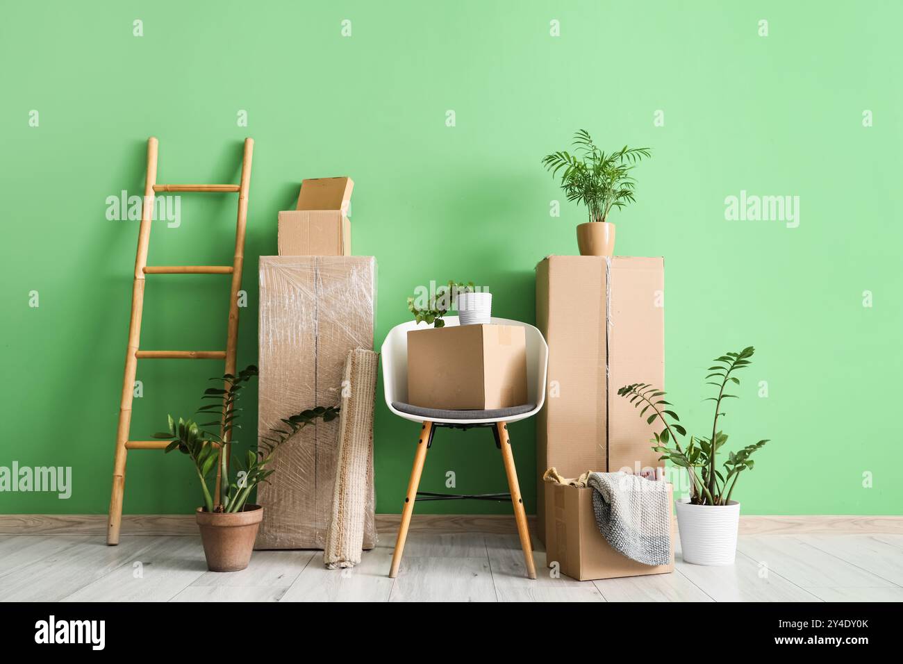 Cardboard chair green hi-res stock photography and images - Alamy