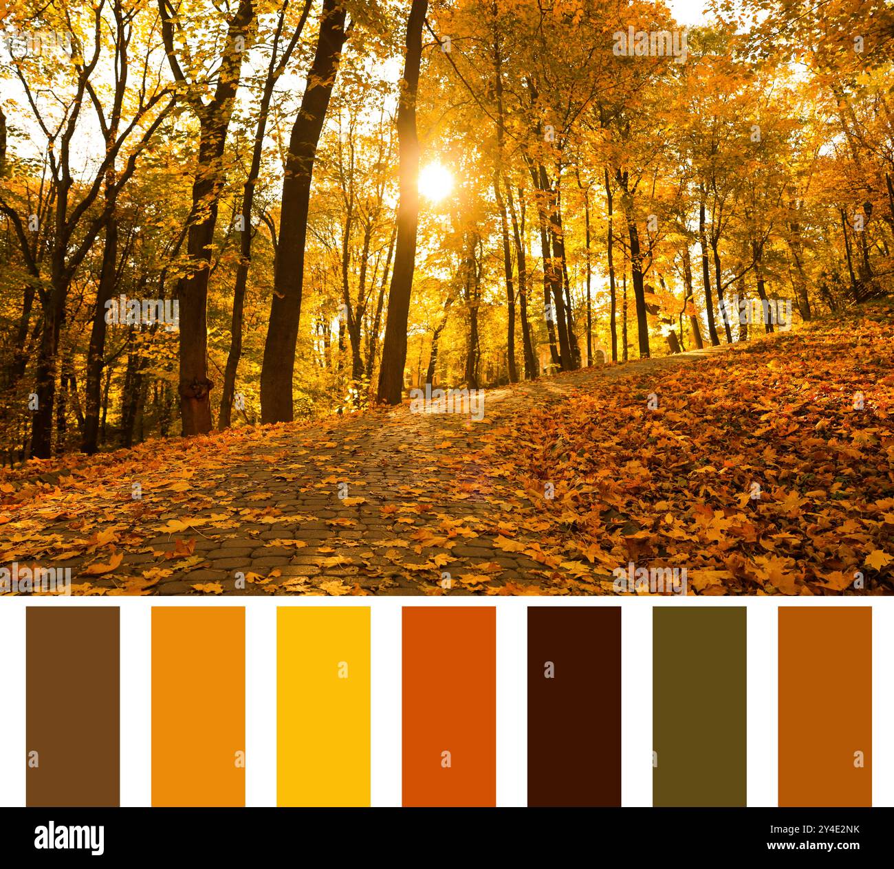 Shades of fall. Beautiful autumn landscape and matching color palette ...