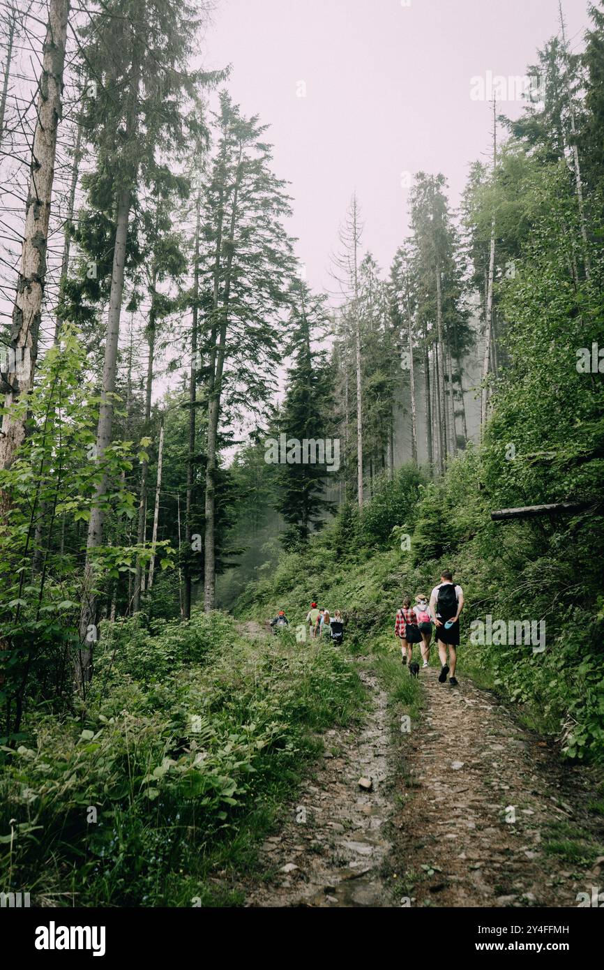 Walk through exploration hi-res stock photography and images - Alamy
