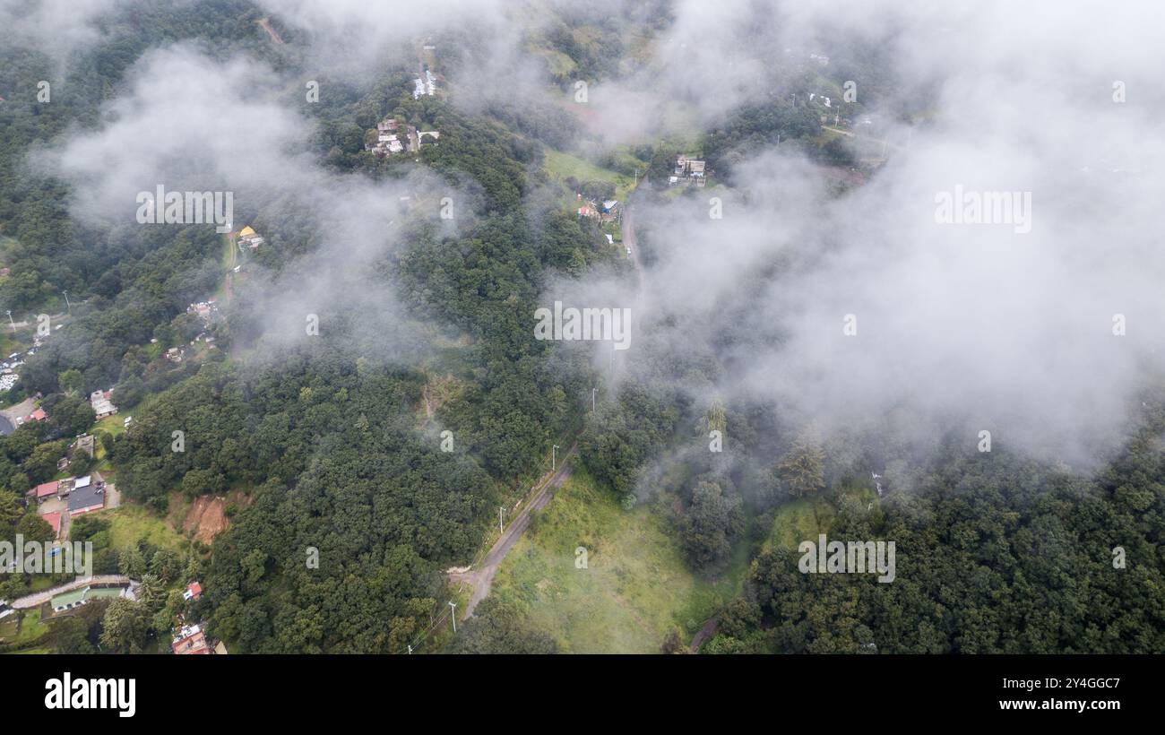 Aerial view plantation in foggy hi-res stock photography and images - Alamy