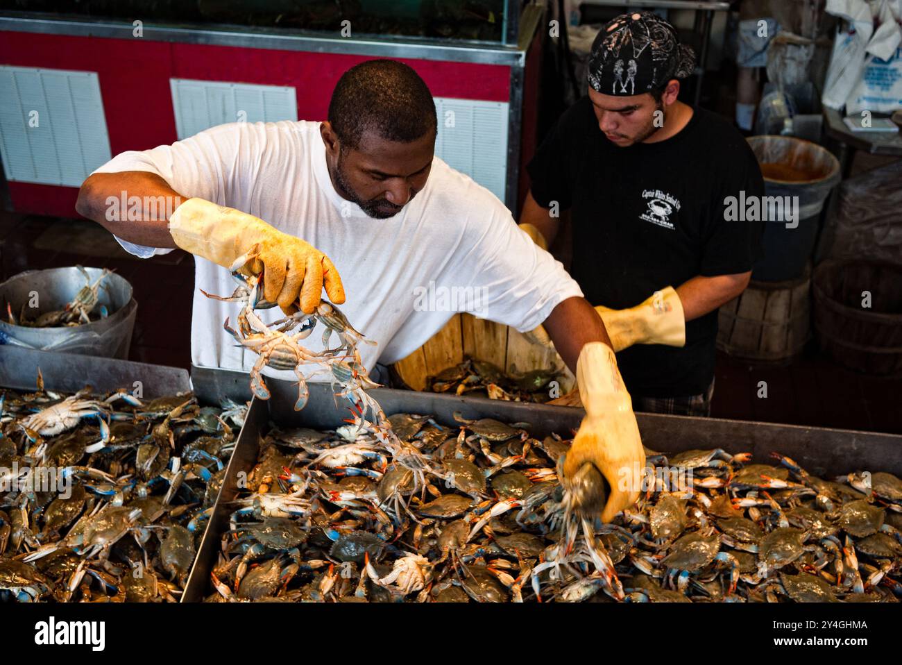 WASHINGTON DC, United States — Fresh blue crabs ready for sale at the ...