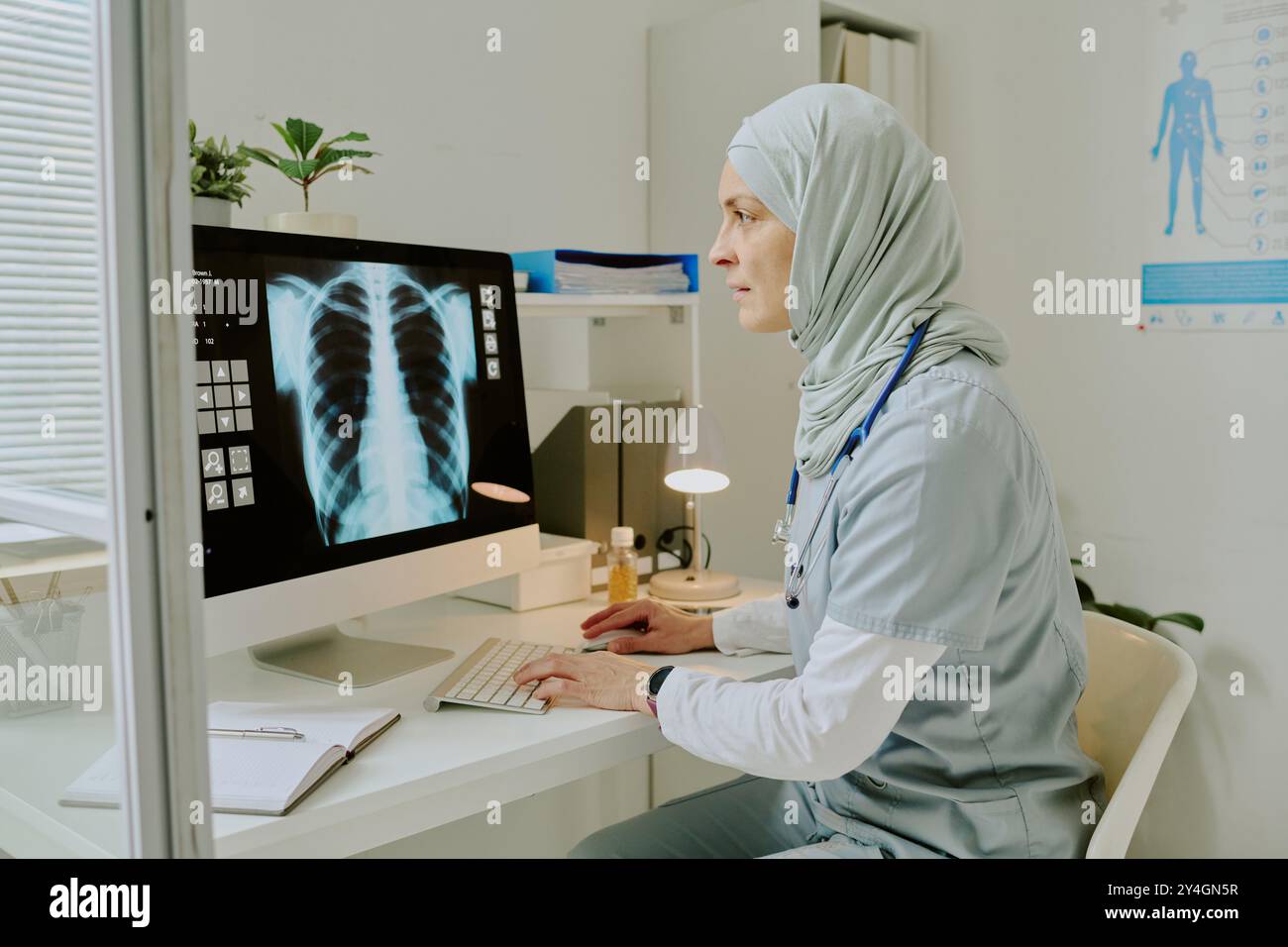 Analyzing Chest X-ray on Computer at Medical Office Stock Photo - Alamy