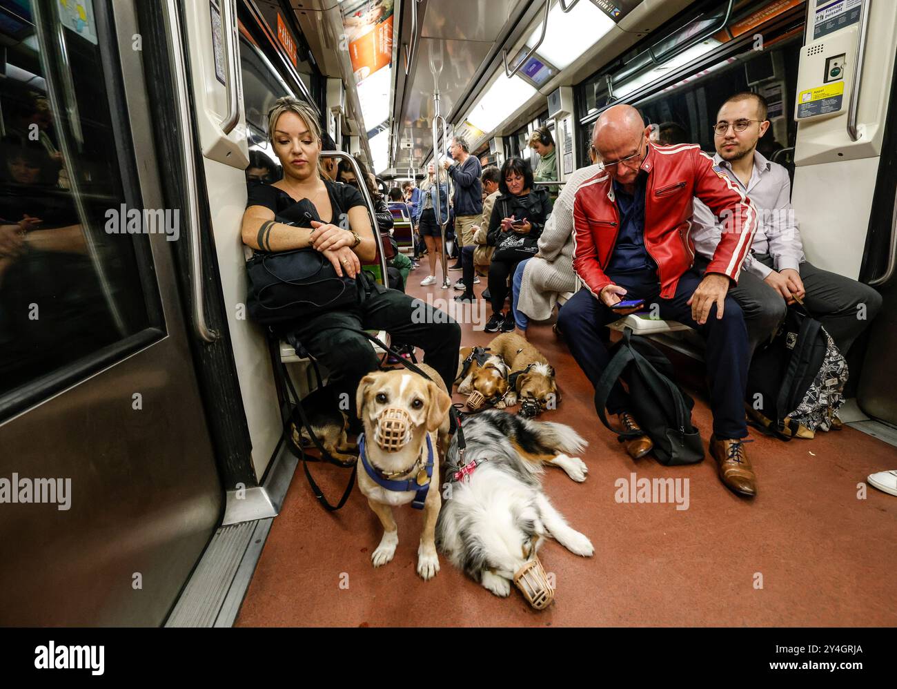 DOG WALKER IN THE PARISIAN METRO Stock Photo