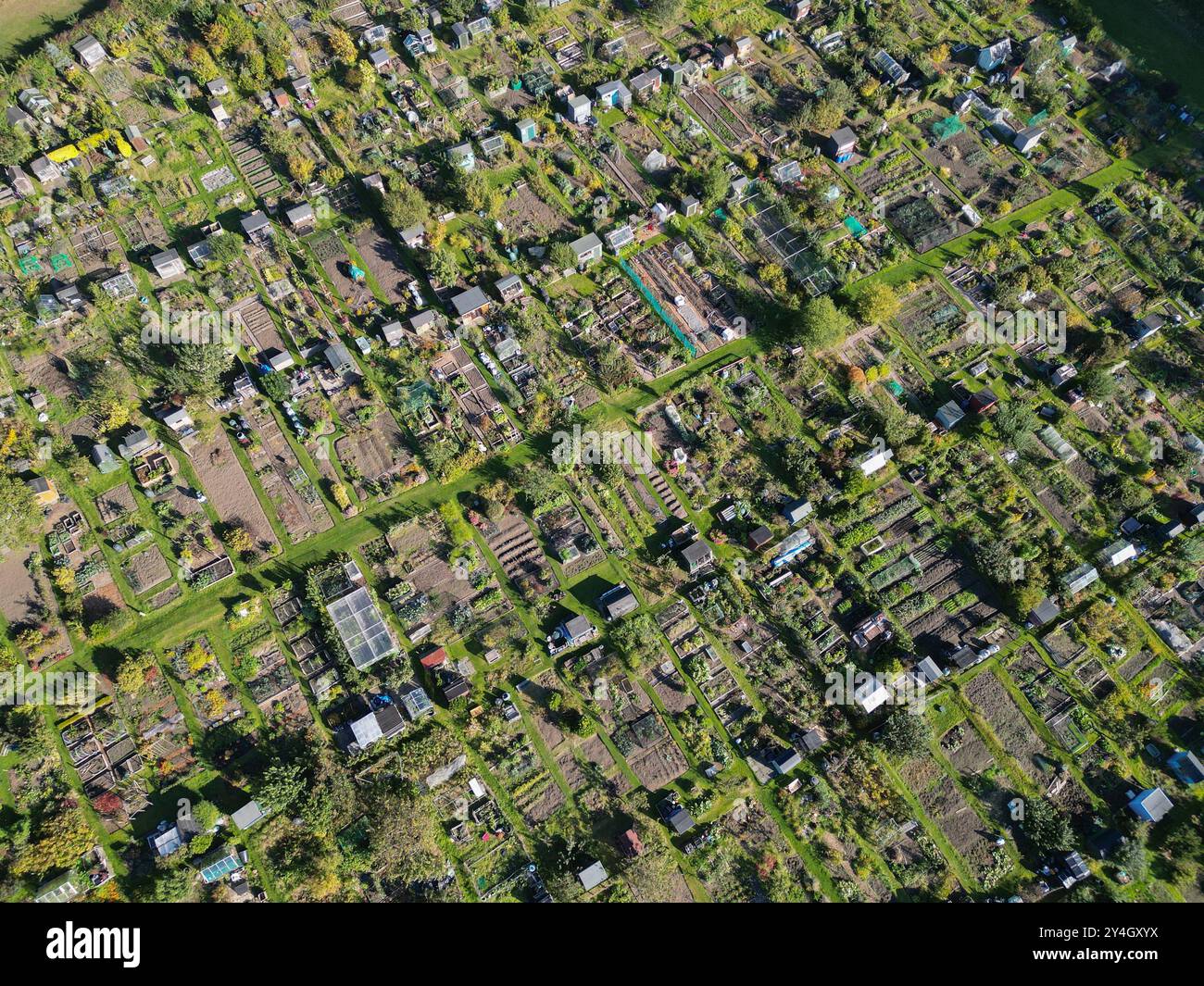 Aerial view of allotments at Inverleith Edinburgh. Stock Photo