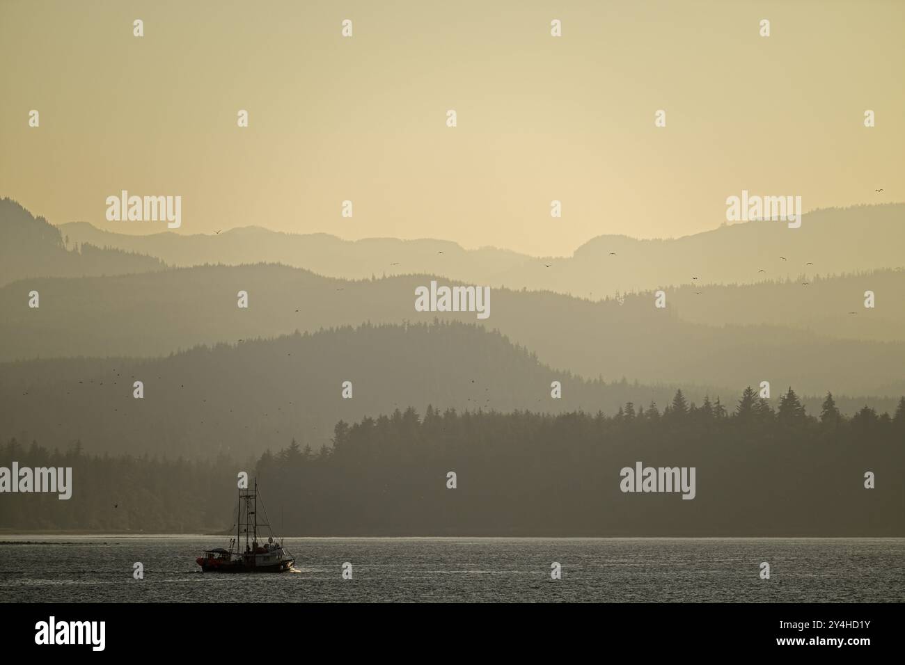 Foggy, romantic sunset mood at the Pacific Ocean with fishing boat in the foreground, Vancouver Island Stock Photo