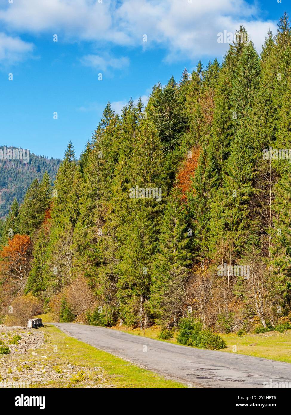 country road in mountains of ukraine. sunny autumn scenery in the afternoon. vertical comoposition Stock Photo