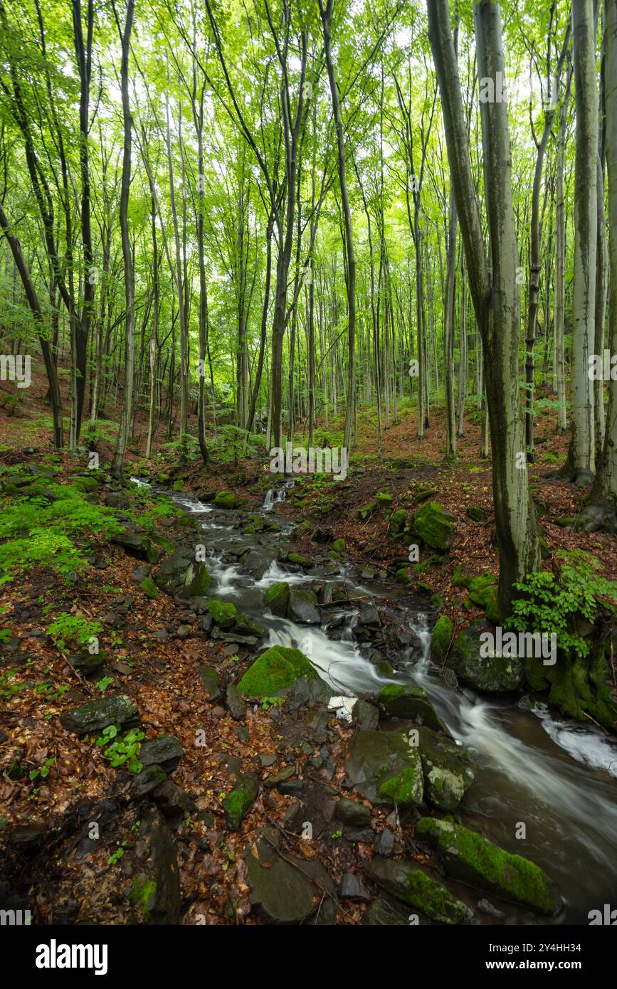 Starohutiansky waterfall near Nova Bana and Zarnovica, Pohronsky Inovec mountains, Slovakia Stock Photo