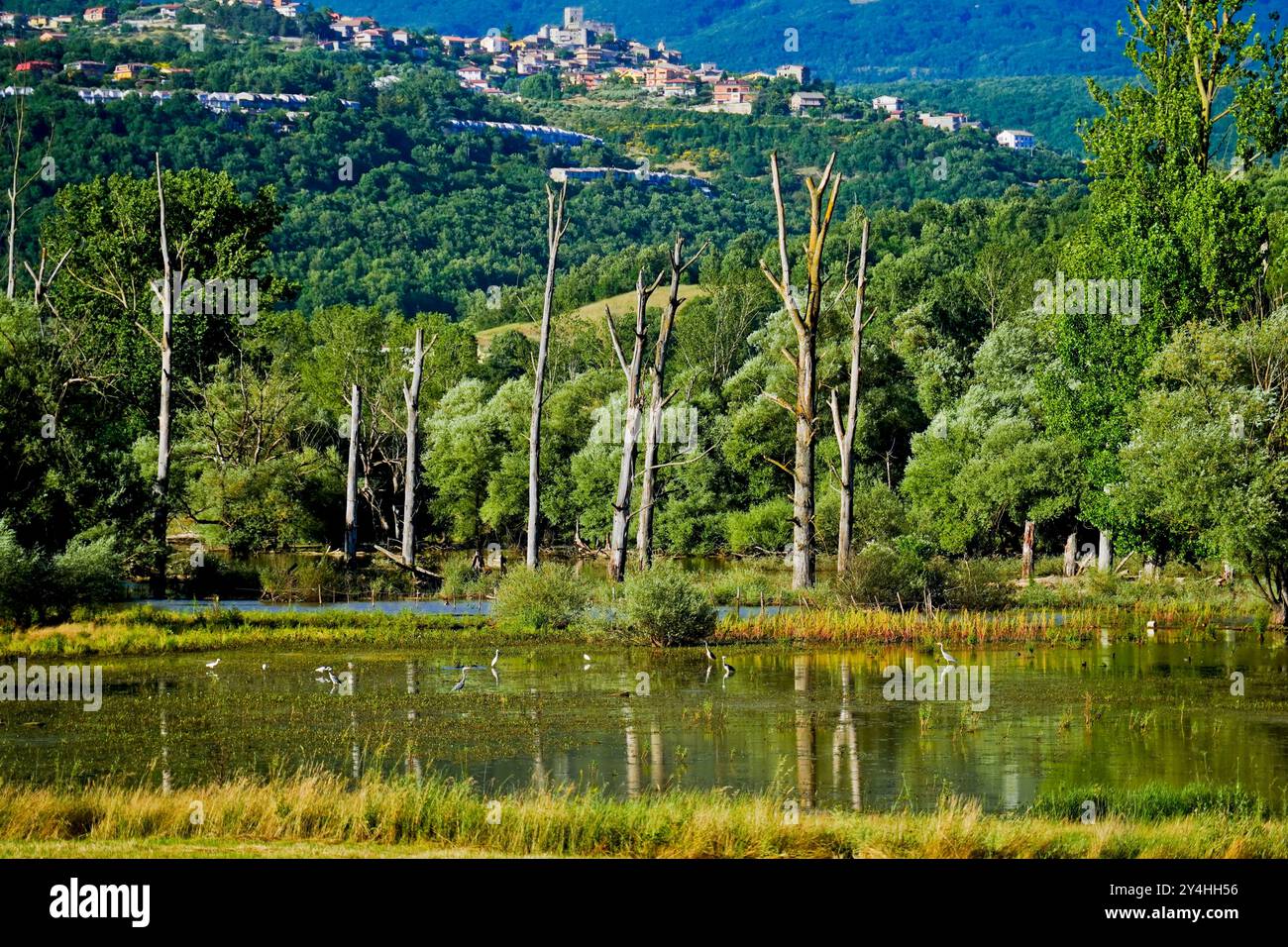Canterno hi-res stock photography and images - Alamy