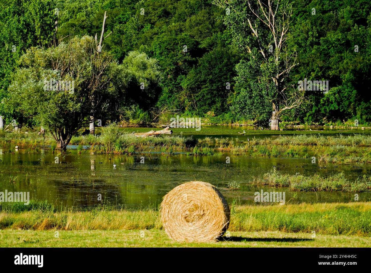 Canterno hi-res stock photography and images - Alamy