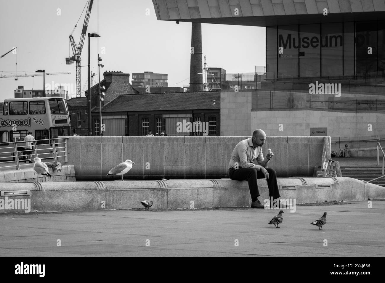 A man sits eating an ice cream, watched by the hungry seagulls at the Albert Dock in Liverpool Stock Photo