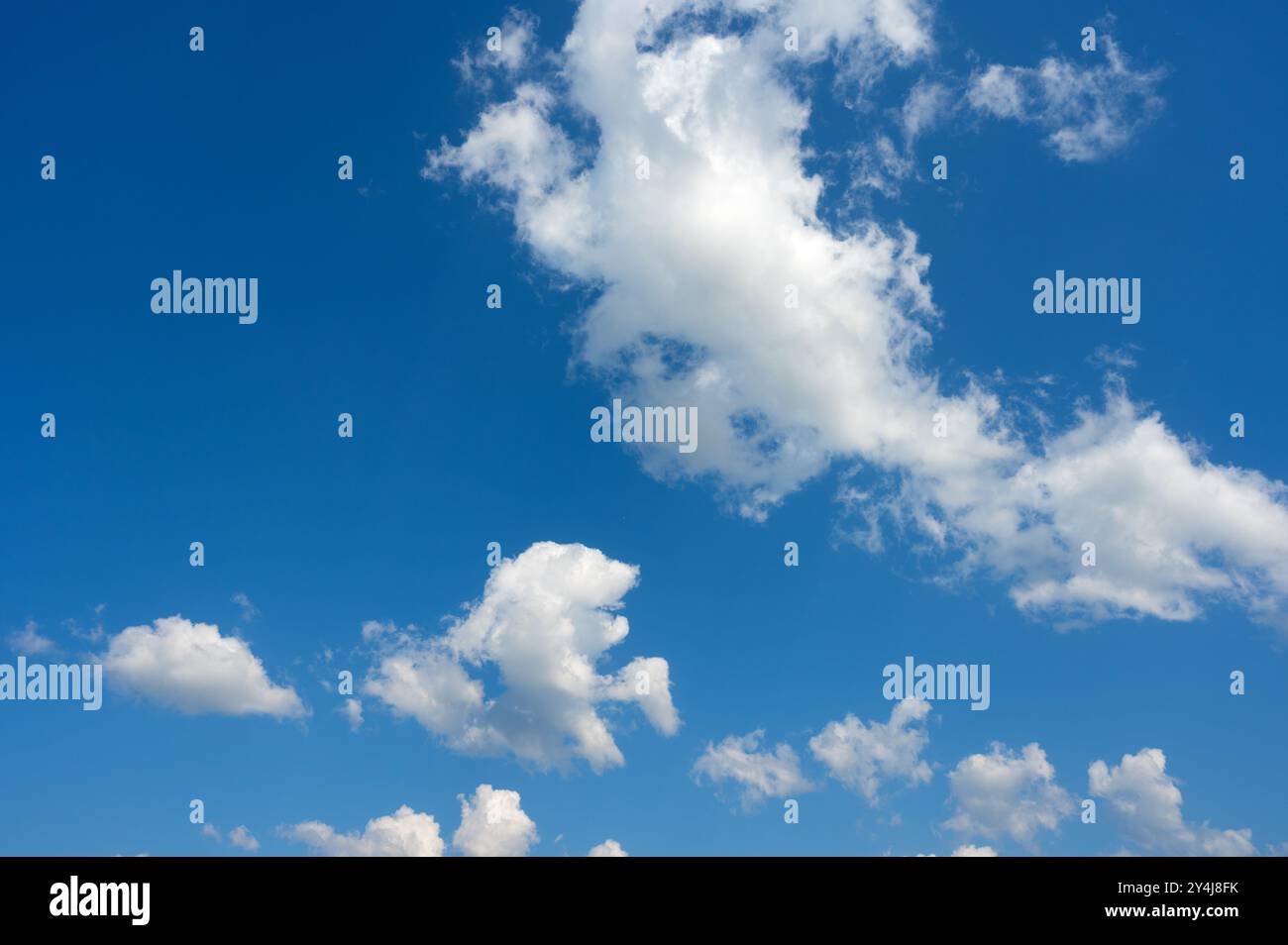 white cumulus clouds ruffled by the strong wind in the blue sky Stock Photo