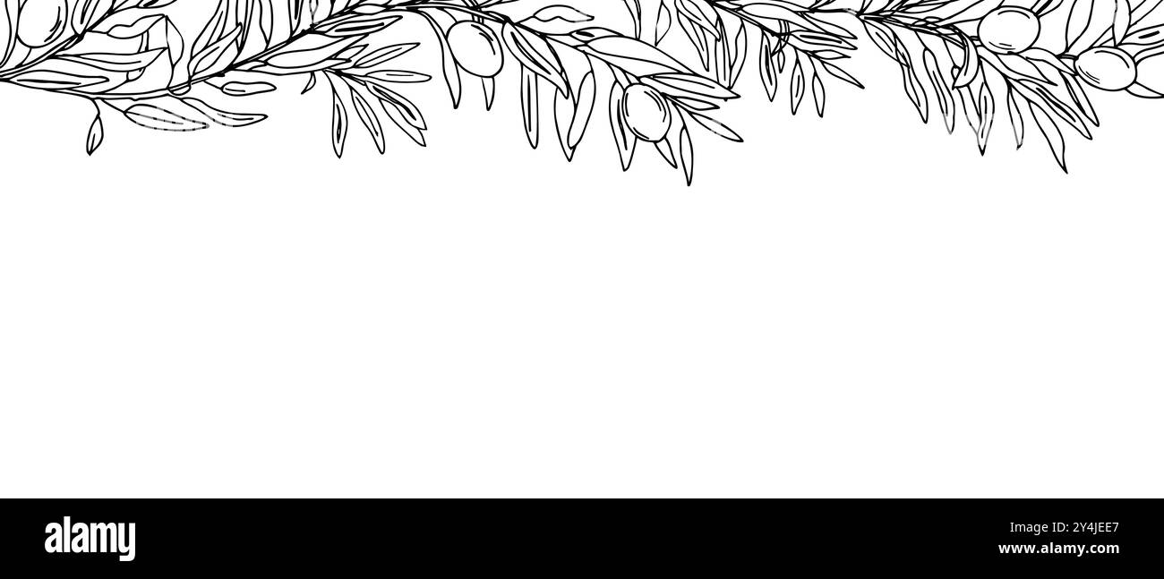 Horizontal Frame, Border with Olive Branches and fruits. Hand drawn ...