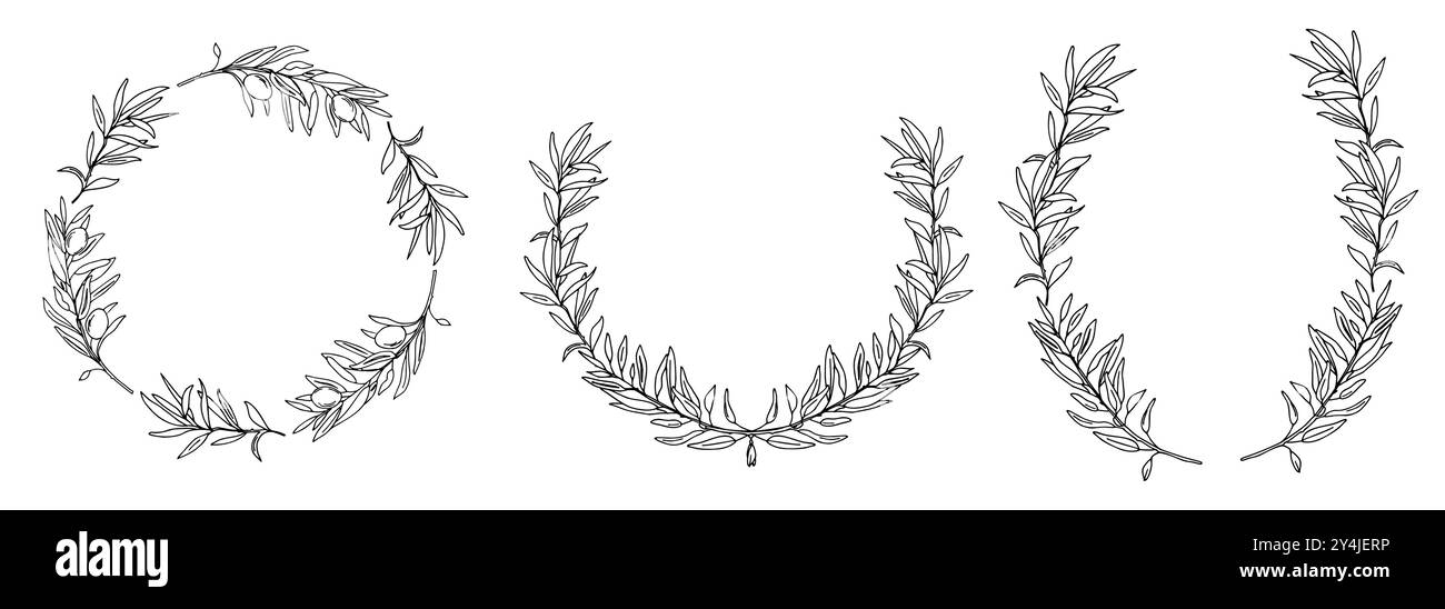 Set of Olive Wreaths. Hand drawn ink Vector isolated Botanical ...