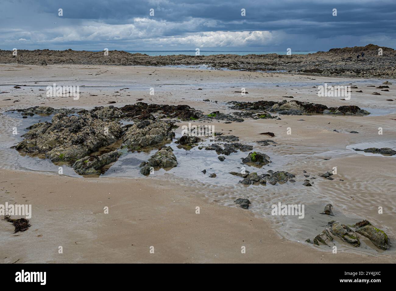 Plage de Saint-Pabu in Britttany at Low Tide, France Stock Photo - Alamy