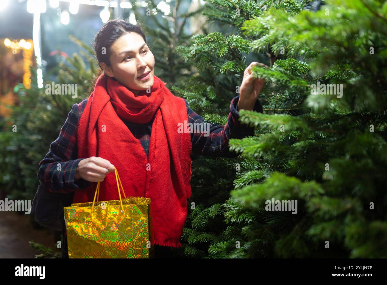 Choosing christmas tree hi-res stock photography and images - Alamy