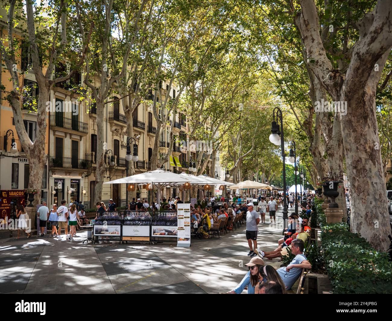 hotel born palma de mallorca