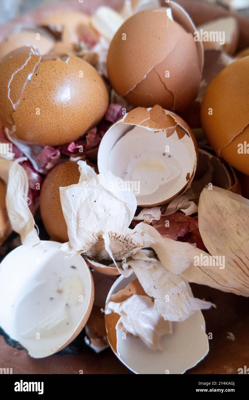 Chicken egg shells collected for fertilizer purposes Stock Photo