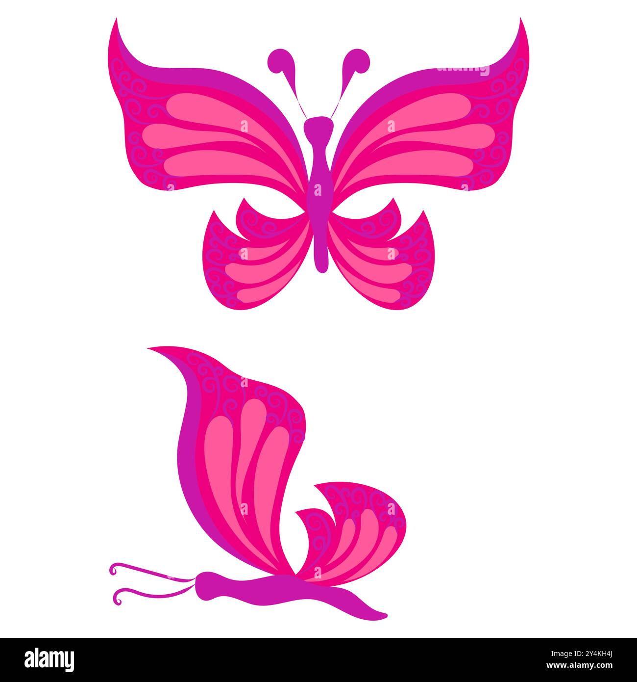 Butterfly with open wings and closed wings. Vector illustration