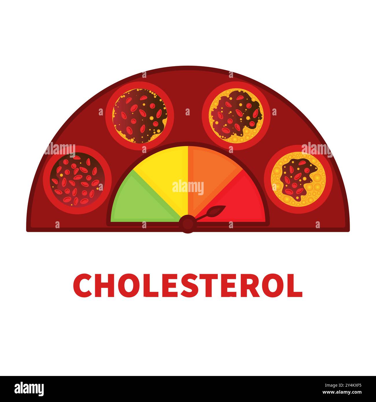 Cholesterol level meter gauge with blood vessel diagram Stock Vector ...