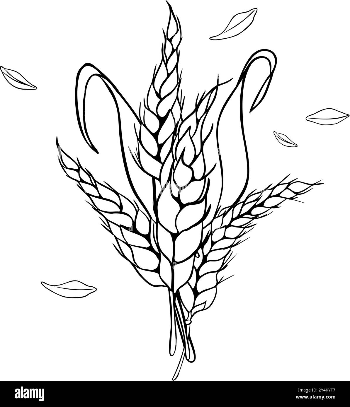 Bunch of wheat ear, stalks and grains black white linear vector ...