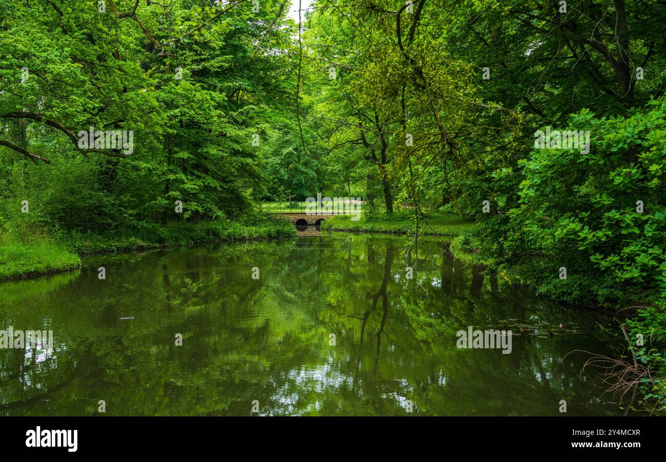 Small lake among green trees in city park. Small bridge Stock Photo - Alamy
