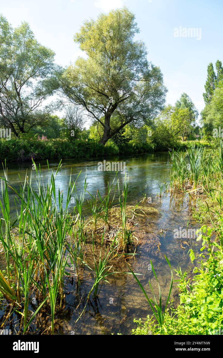 Chalk stream england idyllic hi-res stock photography and images - Alamy