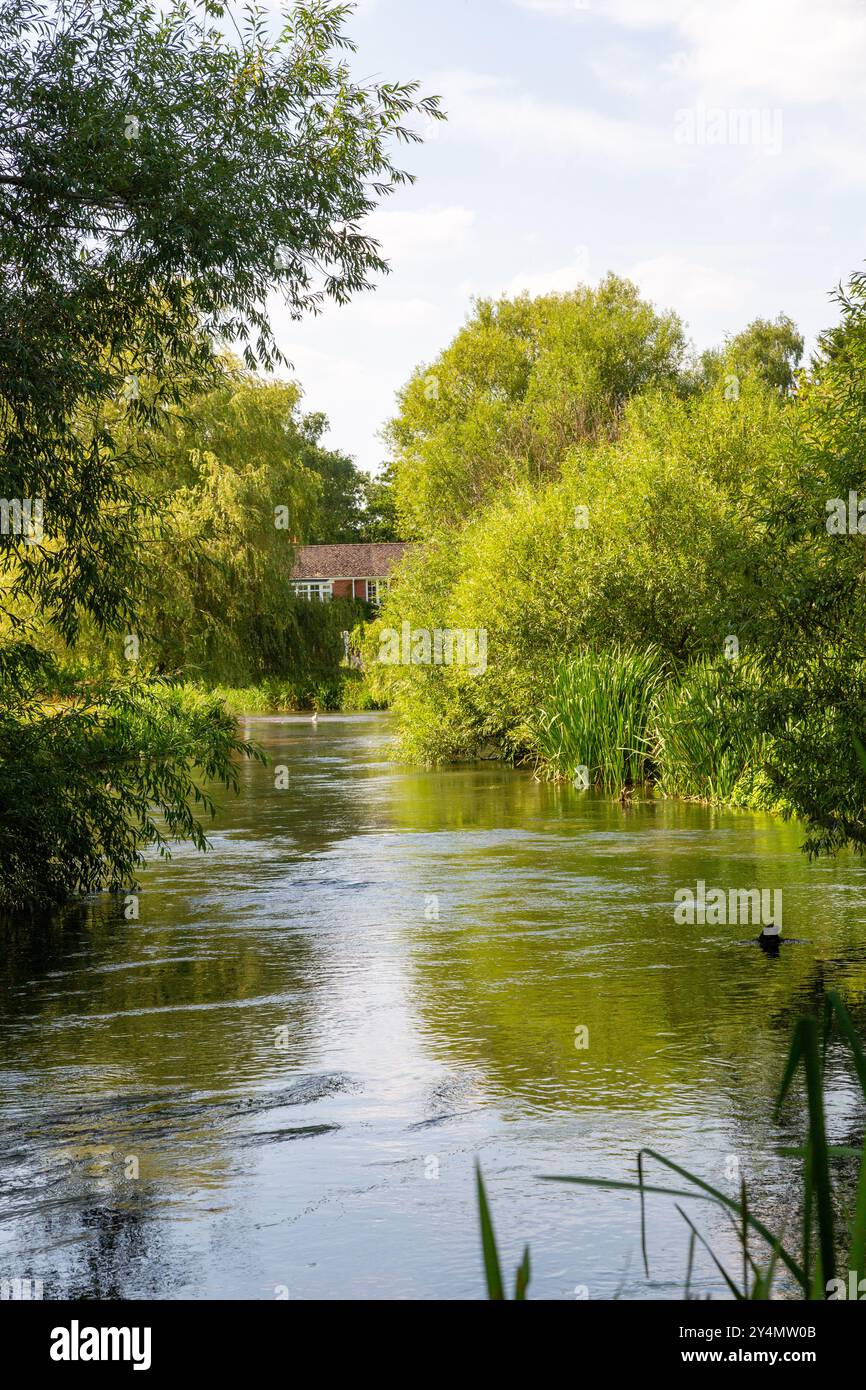 Salisbury england hi-res stock photography and images - Alamy