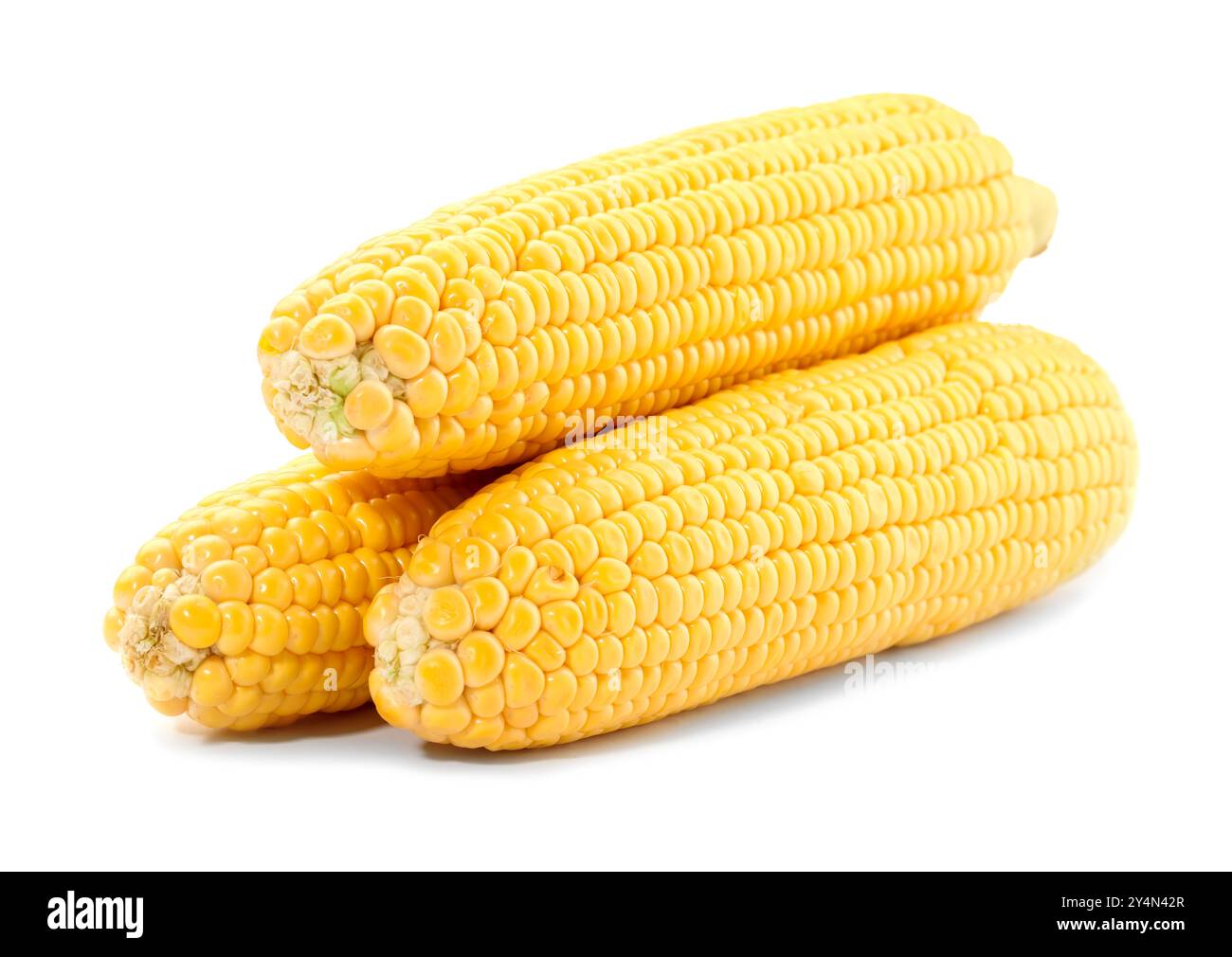 Three fresh ripe corncobs isolated on white Stock Photo