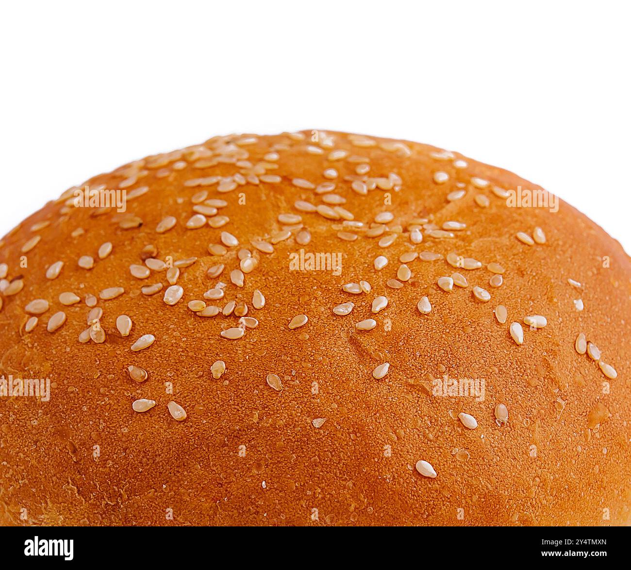 Single, freshly baked sesame seed burger bun isolated on a pure white ...