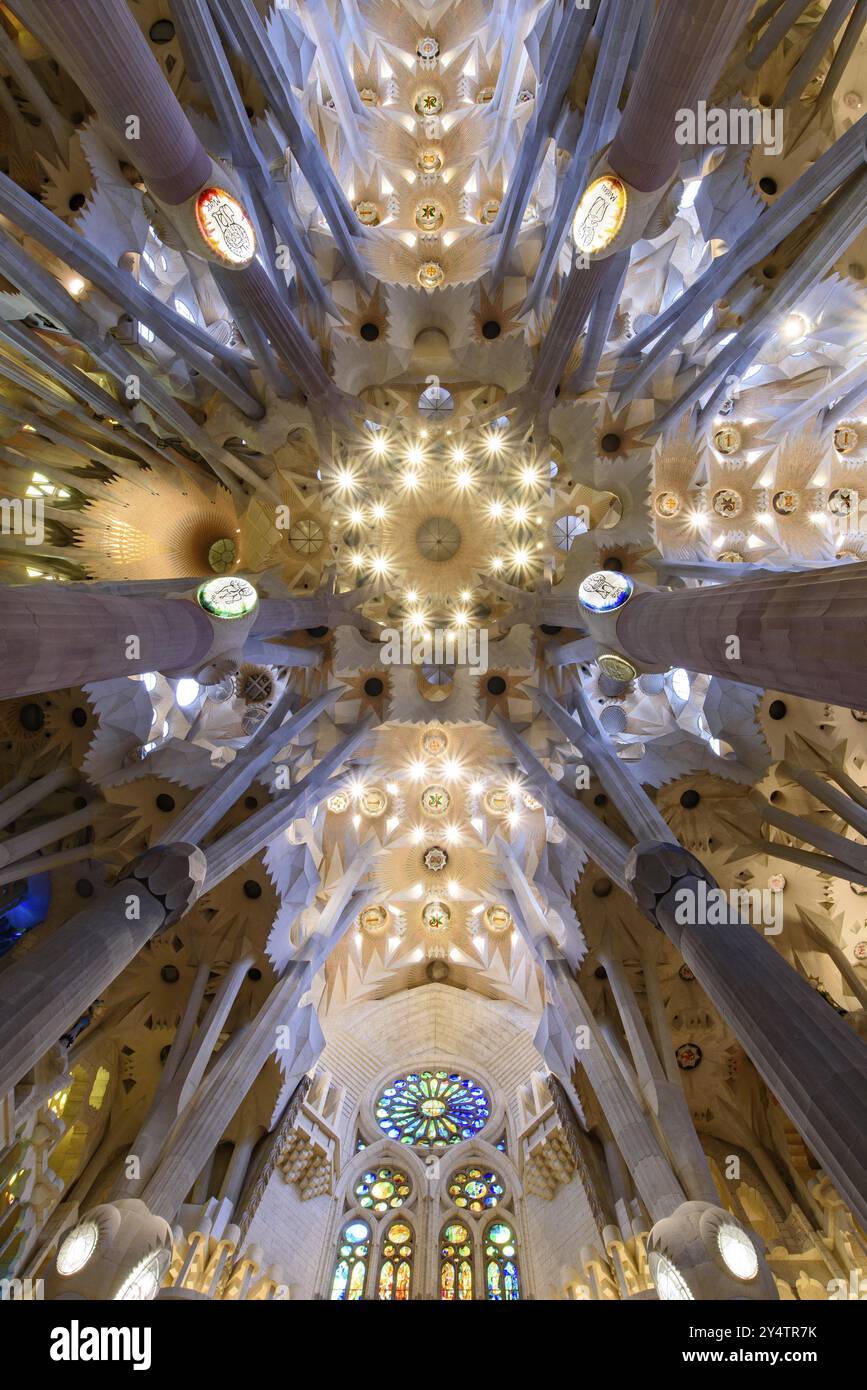 The ceiling of interior of Sagrada Familia (Church of the Holy Family ...