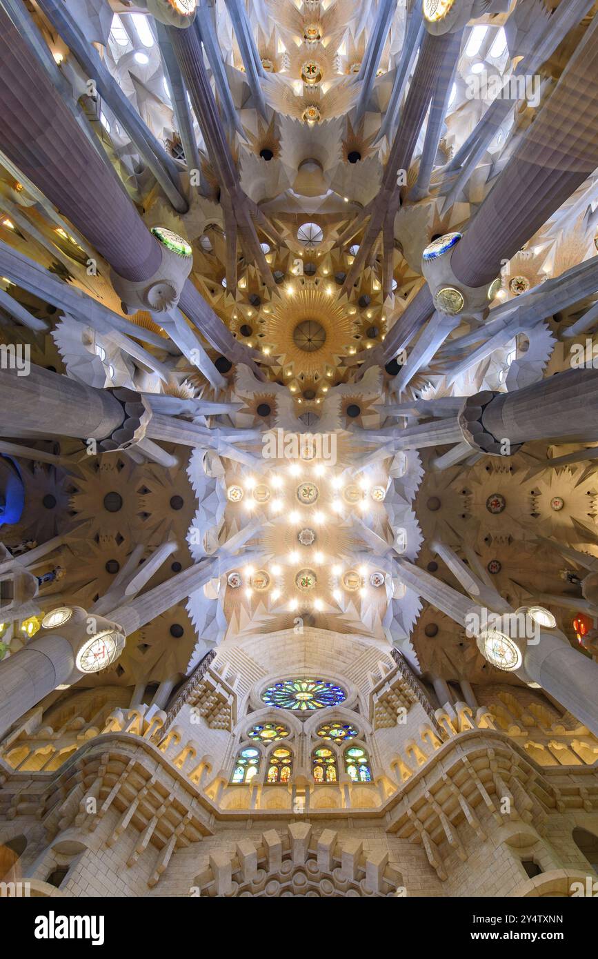 The ceiling of interior of Sagrada Familia (Church of the Holy Family ...